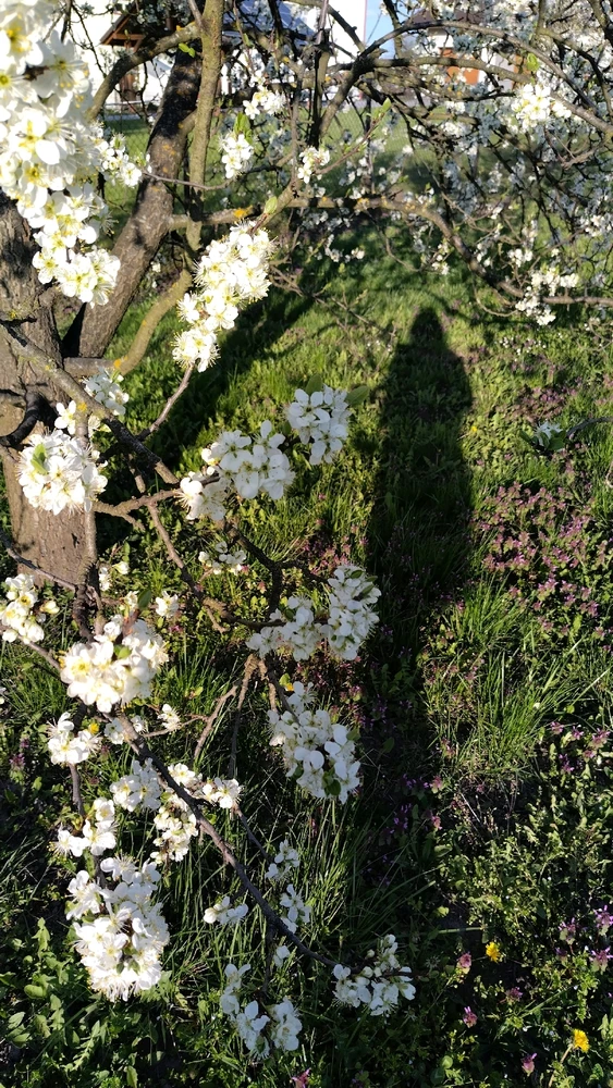 Image uploaded by Beata