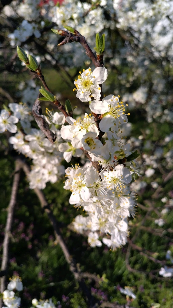 Image uploaded by Beata