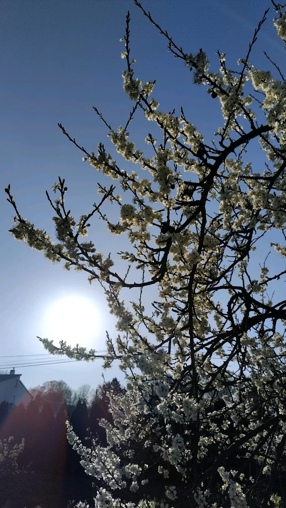 Image uploaded by Beata