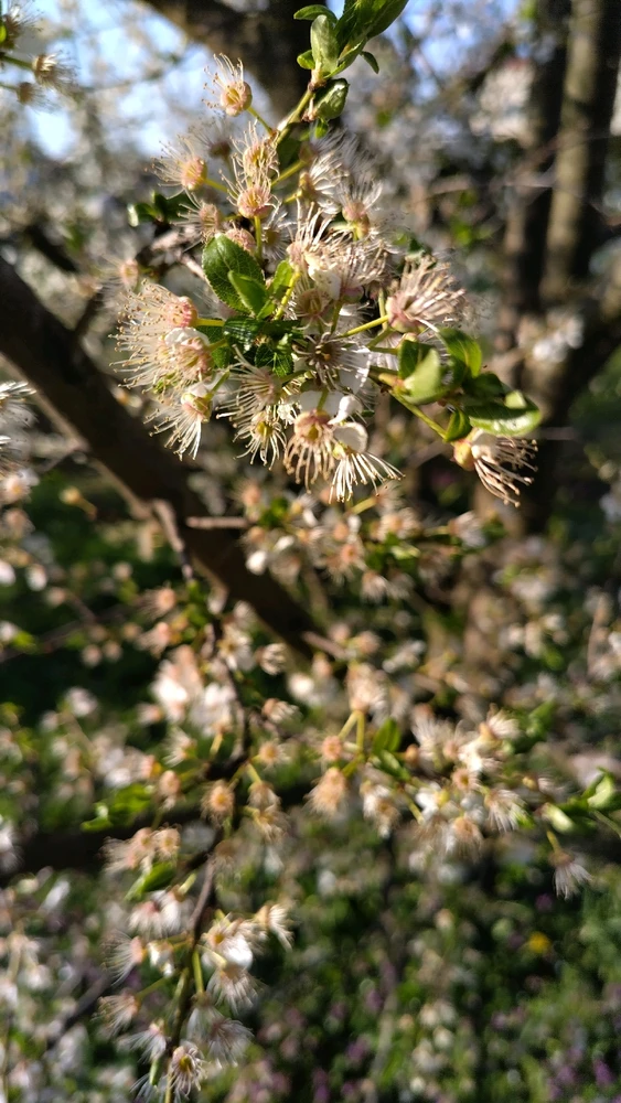 Image uploaded by Beata