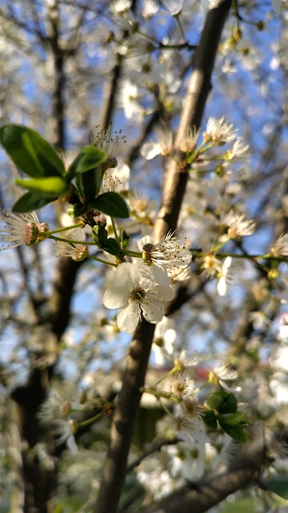 Image uploaded by Beata