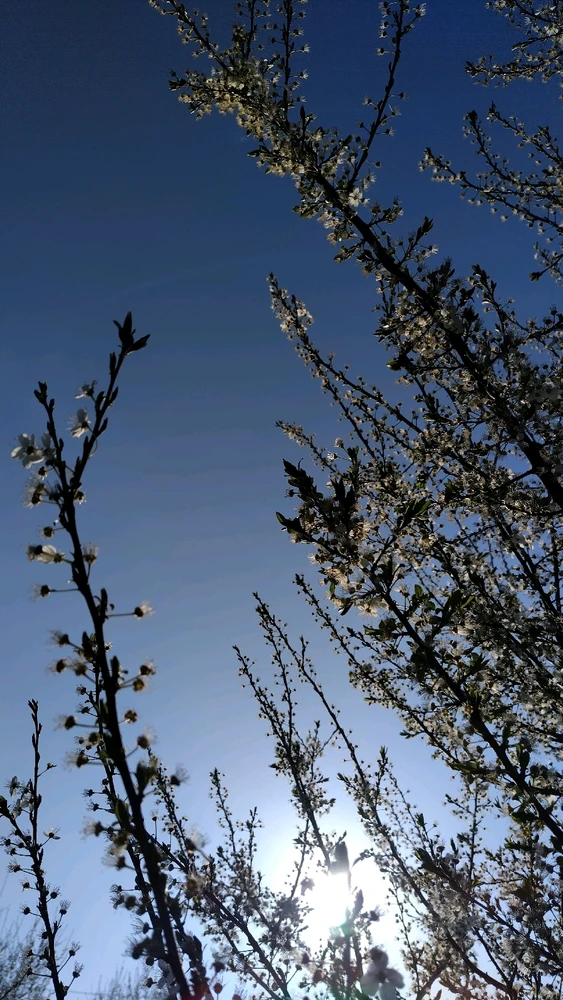 Image uploaded by Beata