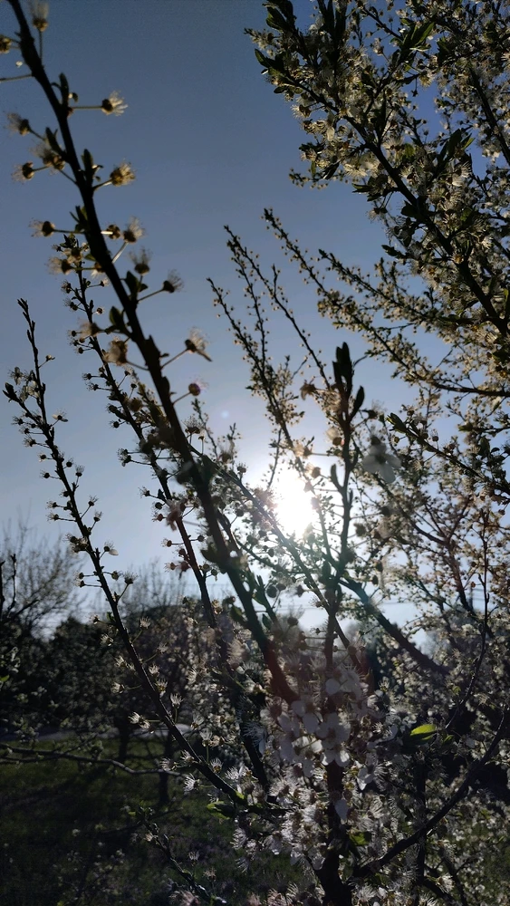 Image uploaded by Beata