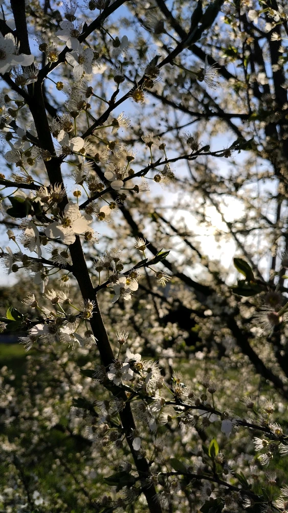 Image uploaded by Beata