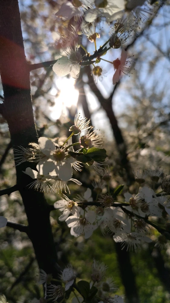 Image uploaded by Beata