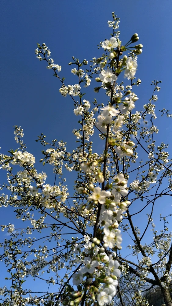 Image uploaded by Beata