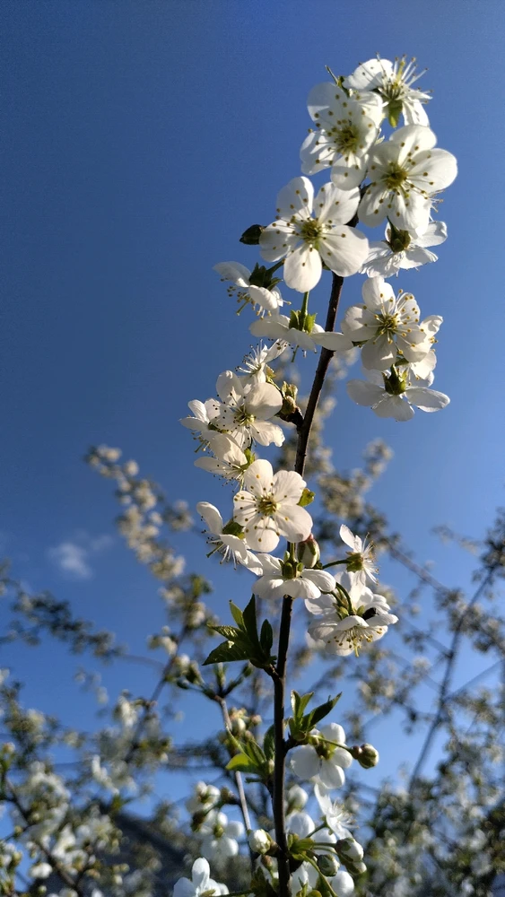 Image uploaded by Beata