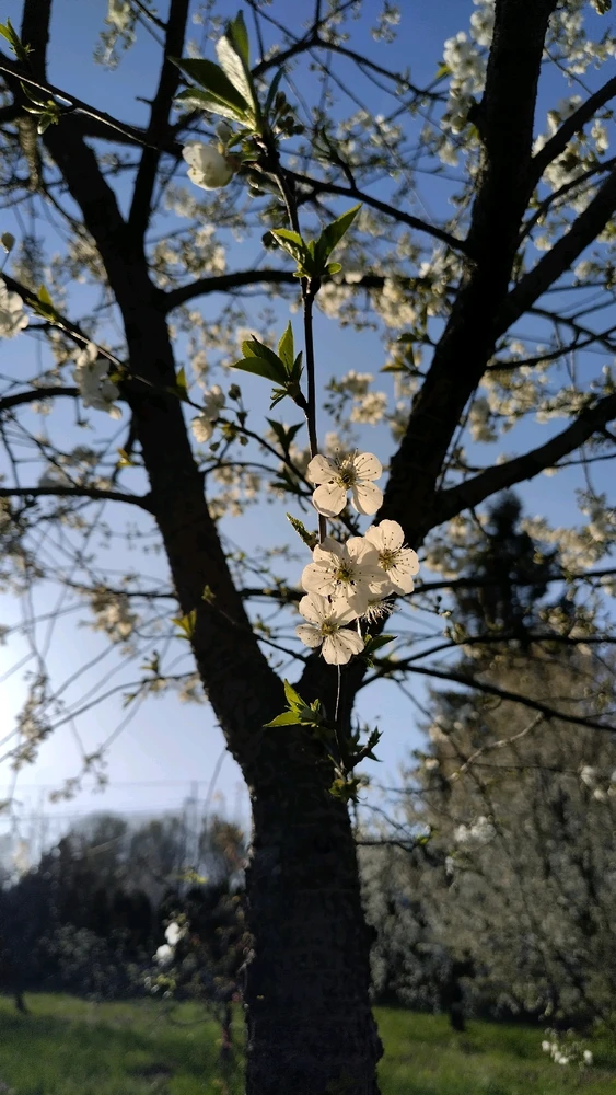 Image uploaded by Beata