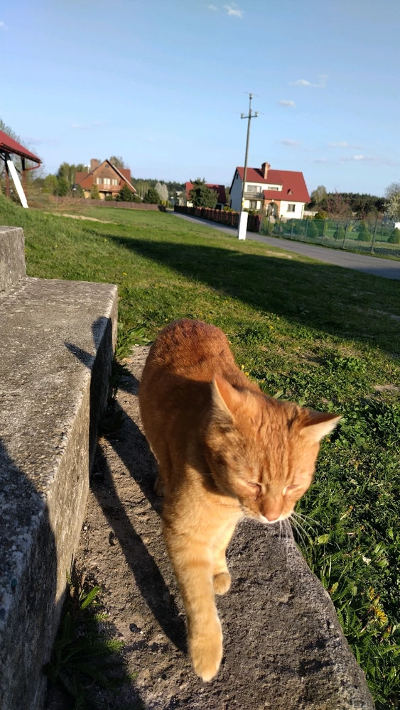 Image uploaded by Beata