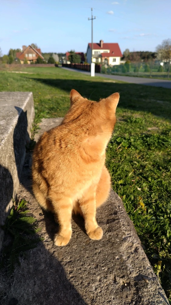 Image uploaded by Beata