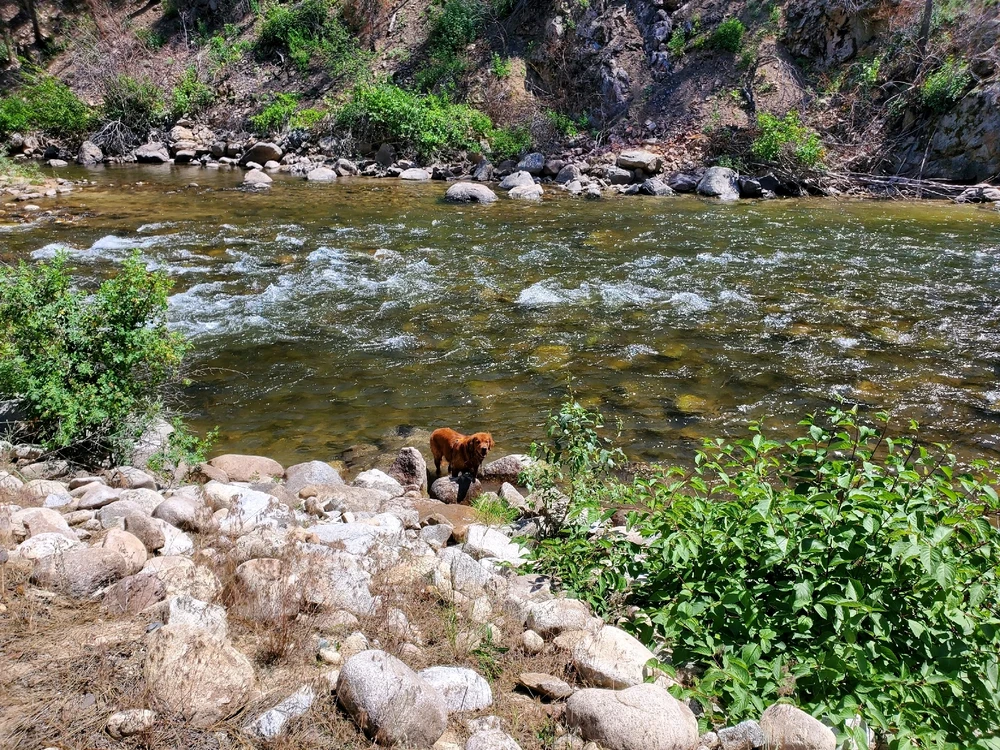 GIF uploaded by Jason