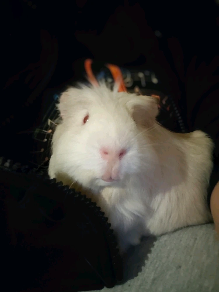 Bild hochgeladen von Sylvia