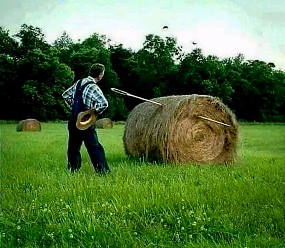 Horváth Szabolcs által feltöltött GIF