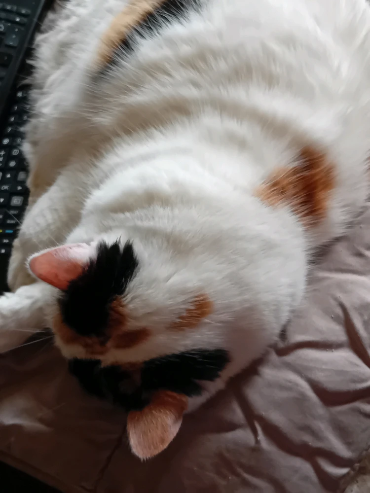 GIF ajouté par Marie