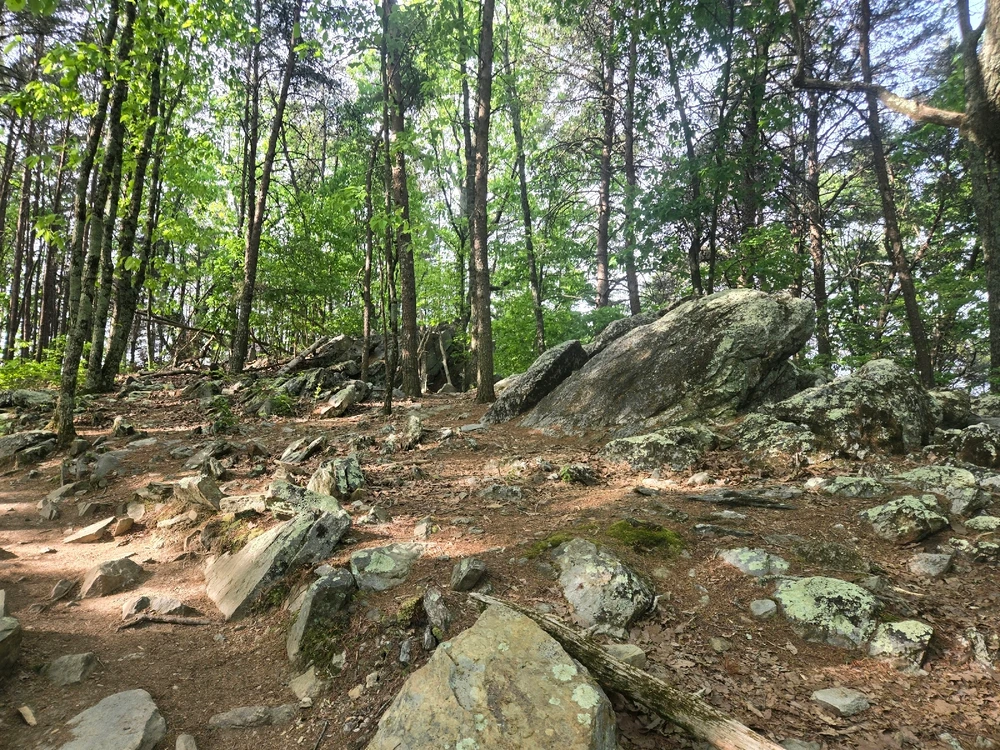 Image uploaded by Nickolas