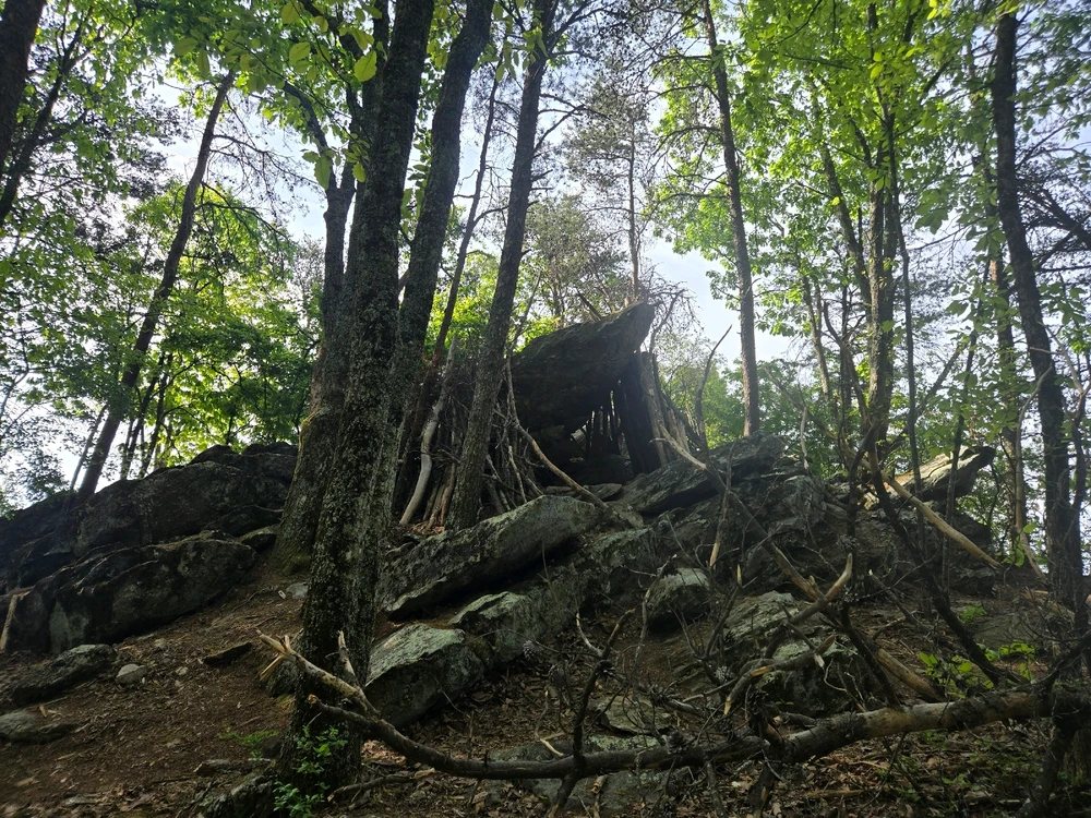 Image uploaded by Nickolas