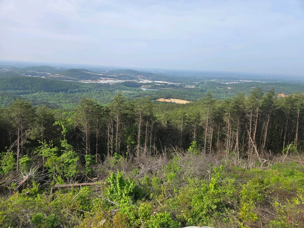 Image uploaded by Nickolas