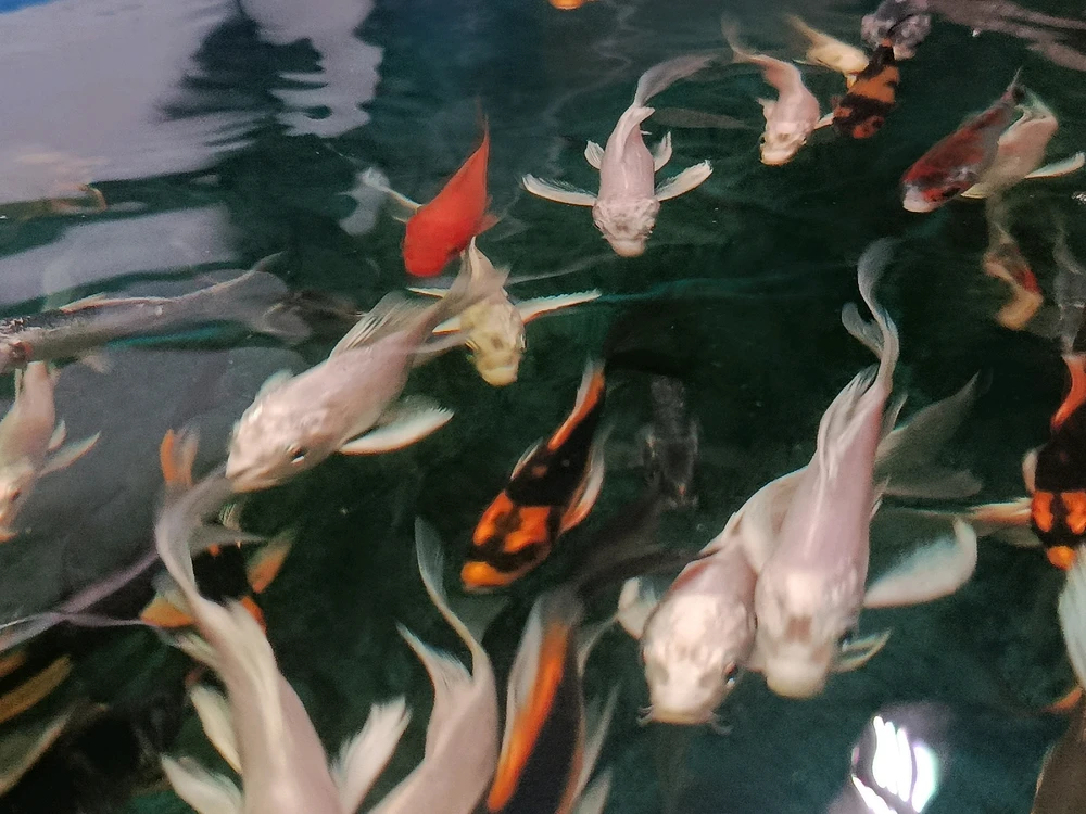 GIF uploaded by Gabrielle