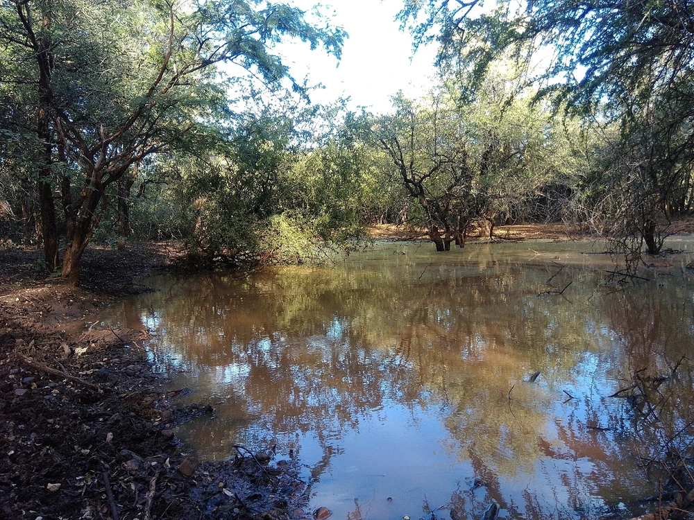 Image uploaded by Hein