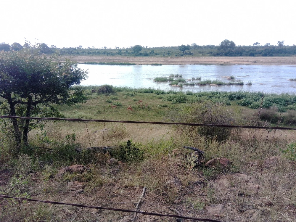 Image uploaded by Hein