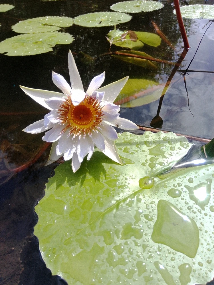 Image uploaded by Hein