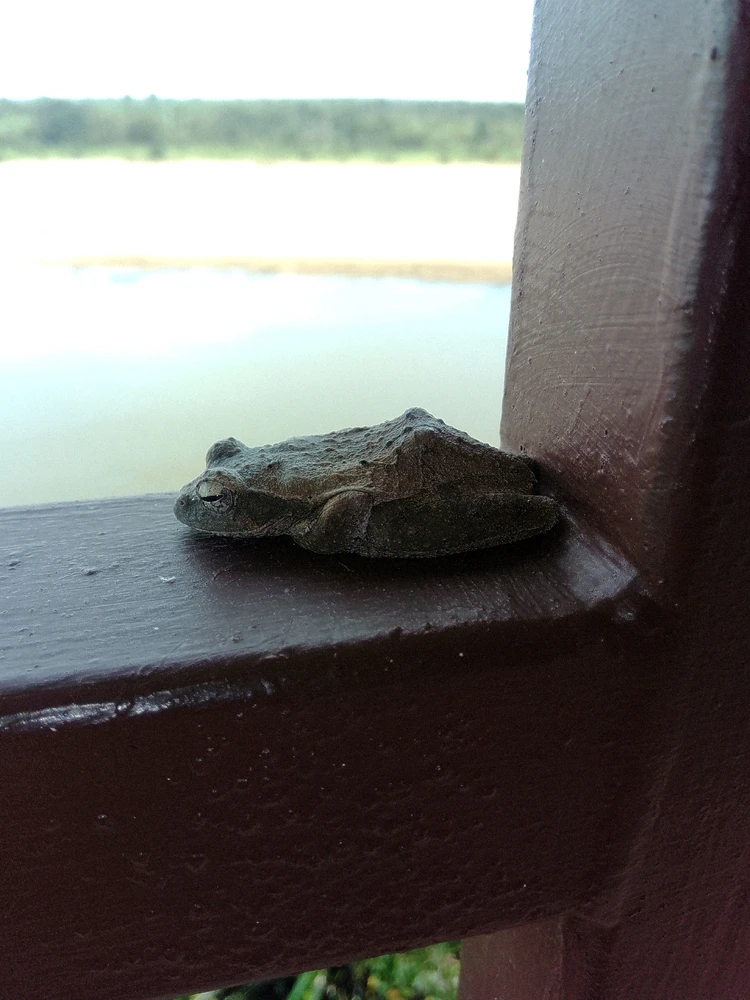Image uploaded by Hein