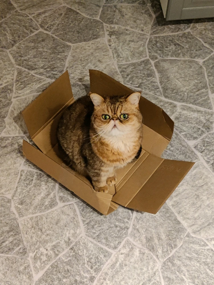 GIF uppladdad av Petteri