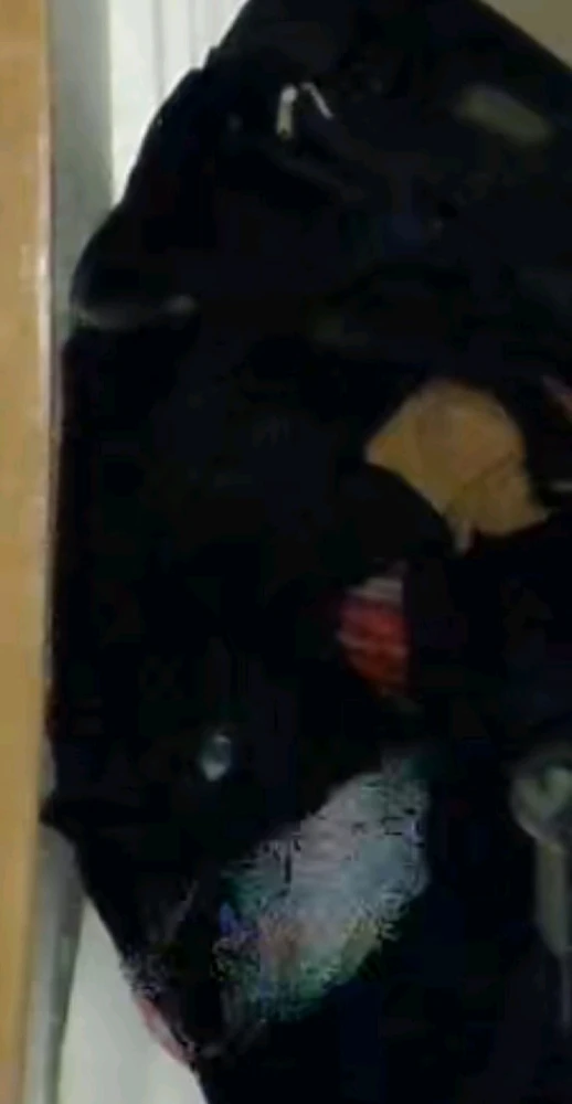 Imagine încărcată de Ever B