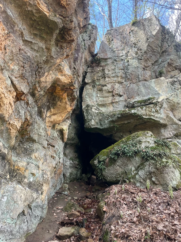 Image uploaded by Robbie