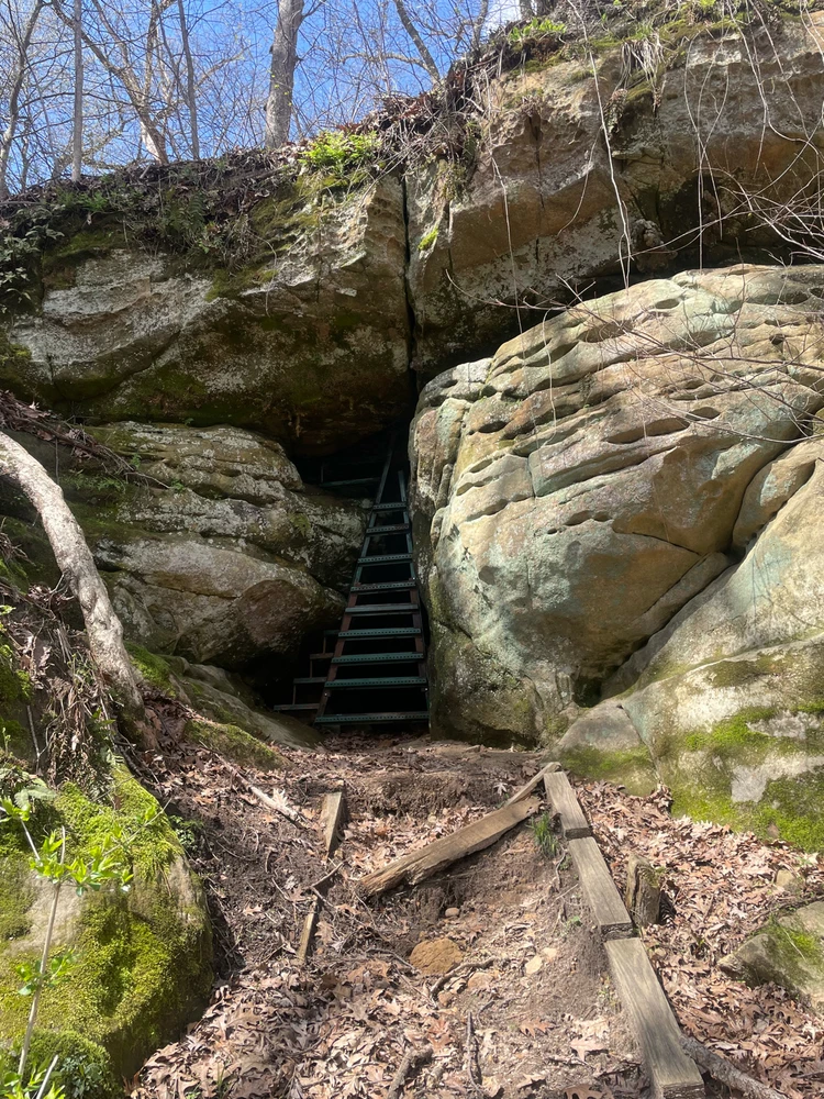 Image uploaded by Robbie