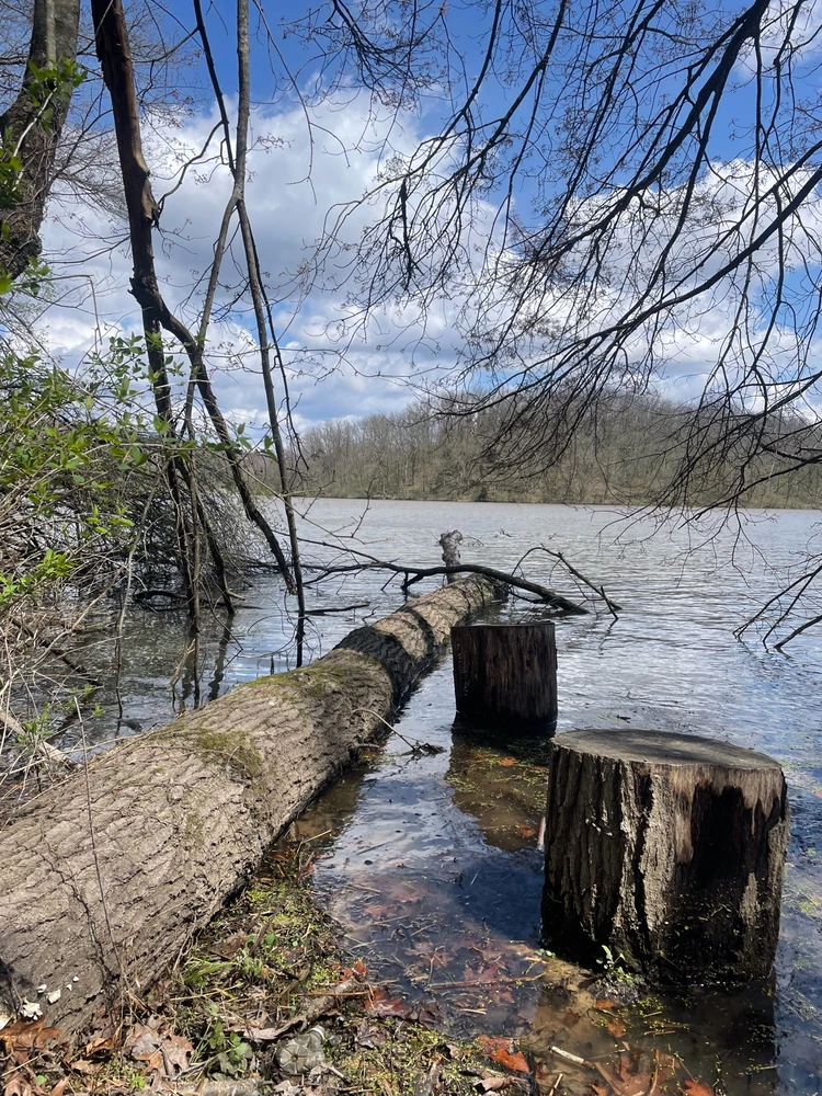 Image uploaded by Robbie