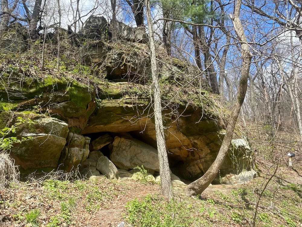 Image uploaded by Robbie