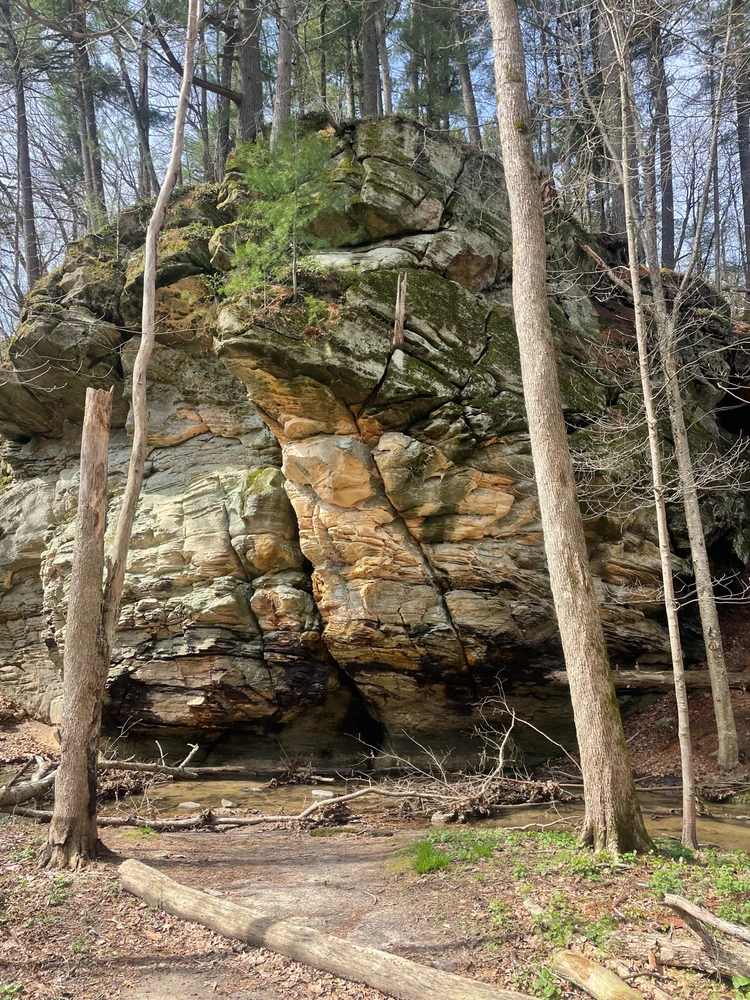 Image uploaded by Robbie