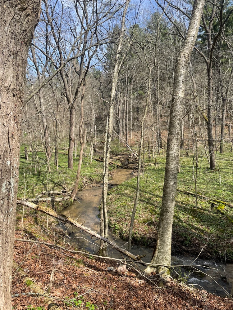 Image uploaded by Robbie