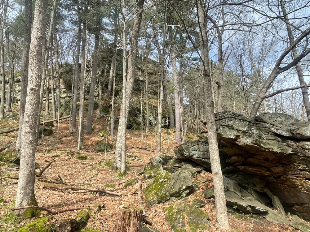 Image uploaded by Robbie