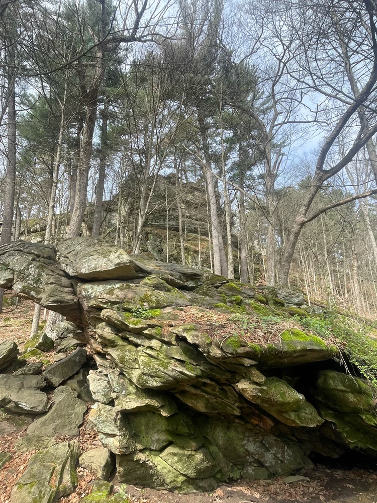 Image uploaded by Robbie