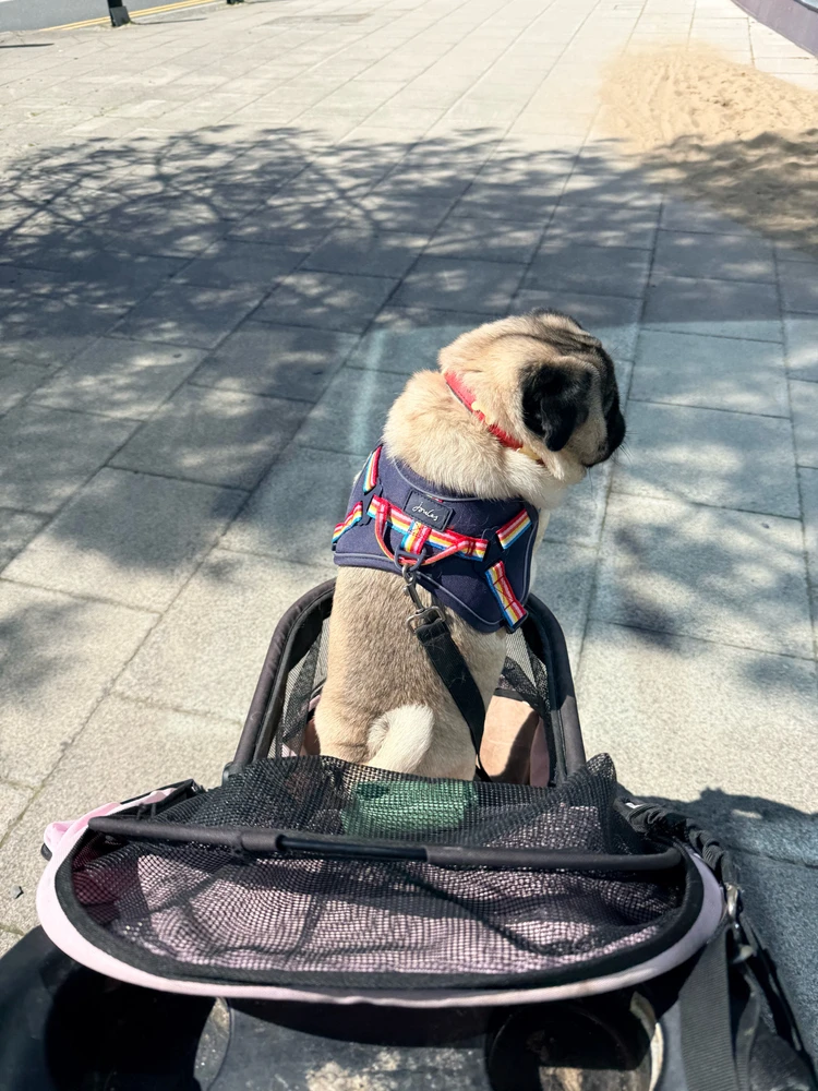 GIF uploaded by Debbie 🏴󠁧󠁢󠁷󠁬󠁳󠁿