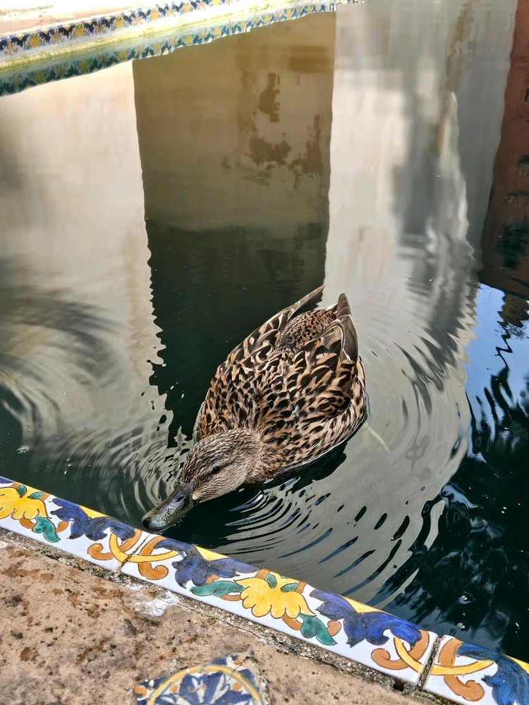 GIF uploaded by Iris