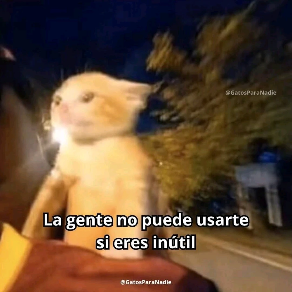 GIF subido por Steph