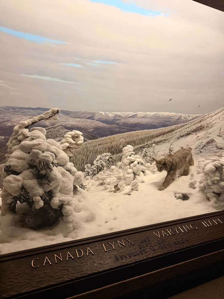 Image uploaded by Marcin