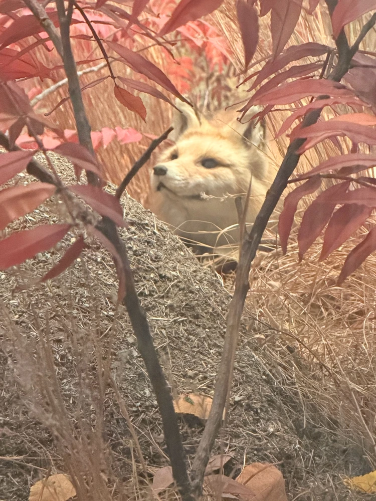 Image uploaded by Marcin