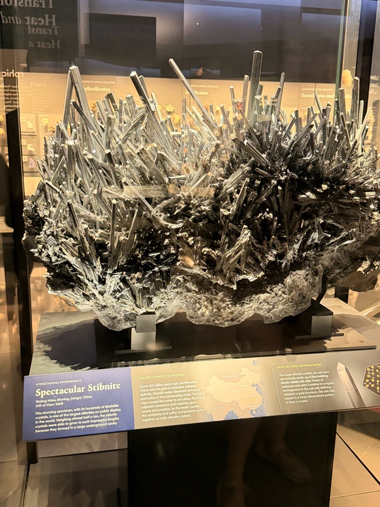 Image uploaded by Marcin