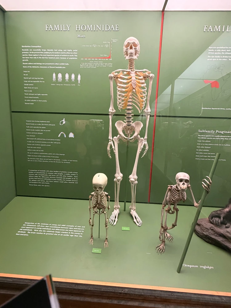 Image uploaded by Marcin