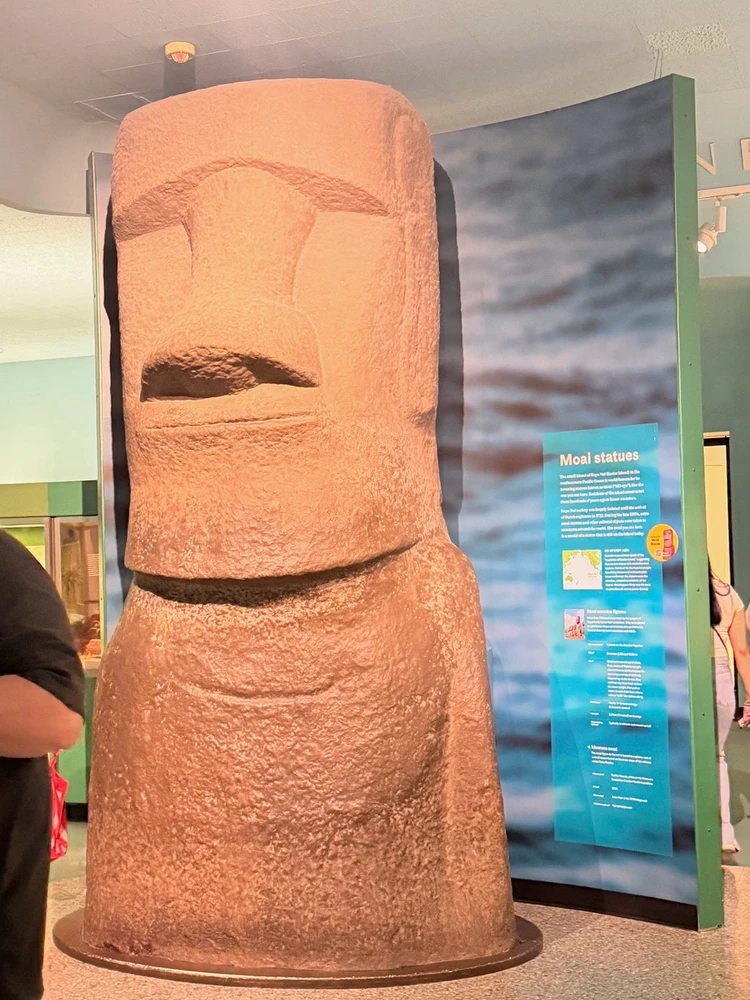 Image uploaded by Marcin