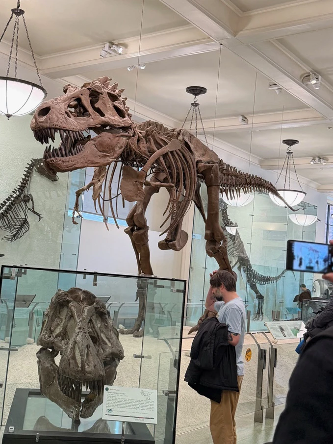 Image uploaded by Marcin