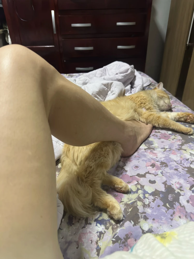 GIF enviado por Jackeline