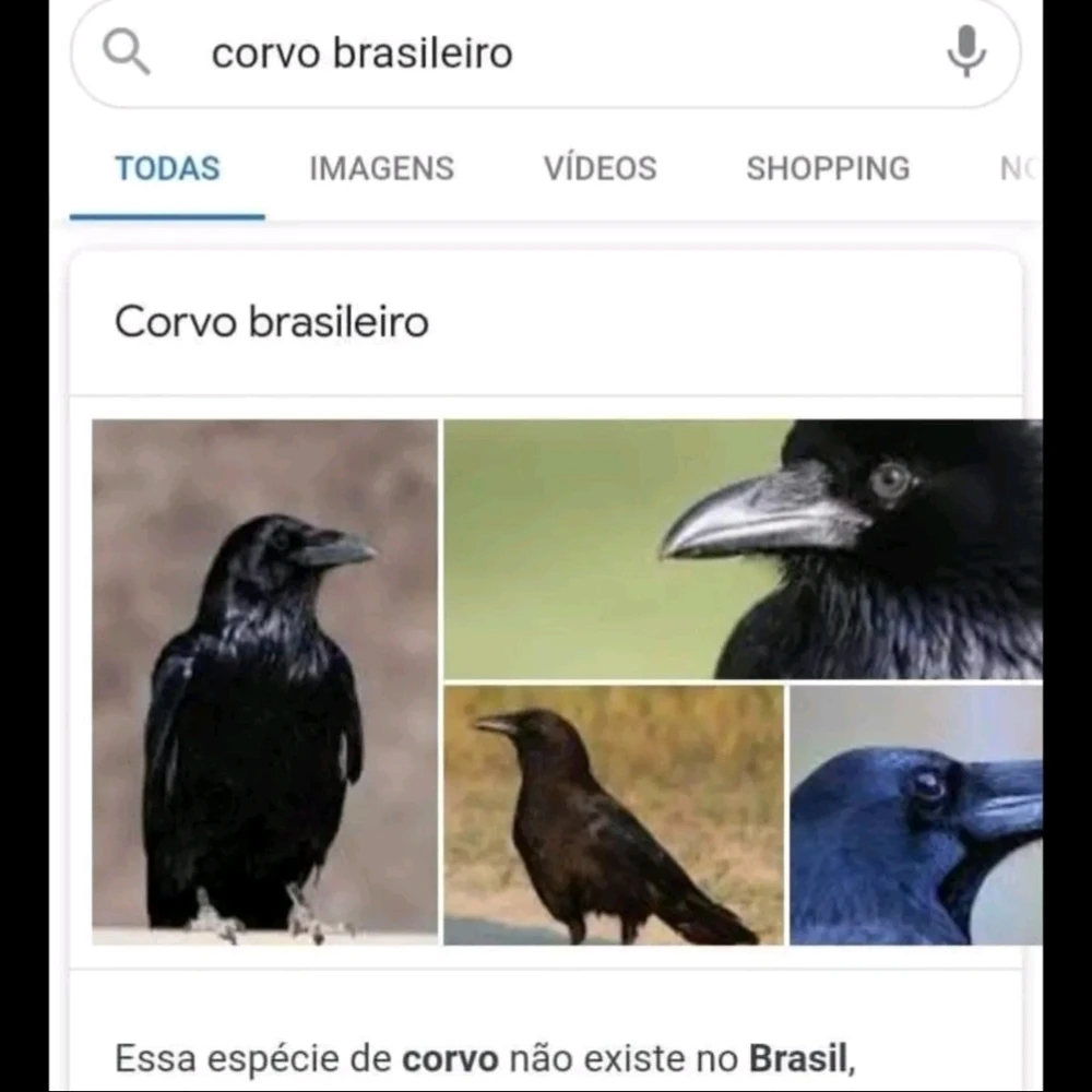 GIF enviado por Eric Maia