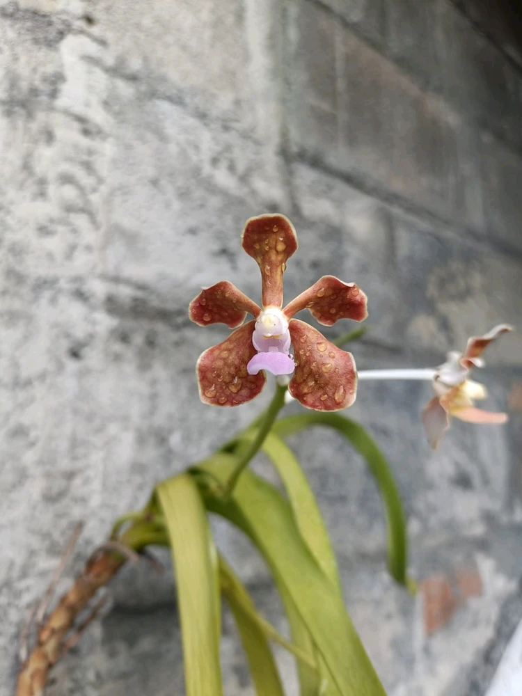 GIF uploaded by Tyra