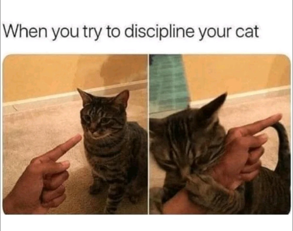 GIF uploaded by Nada