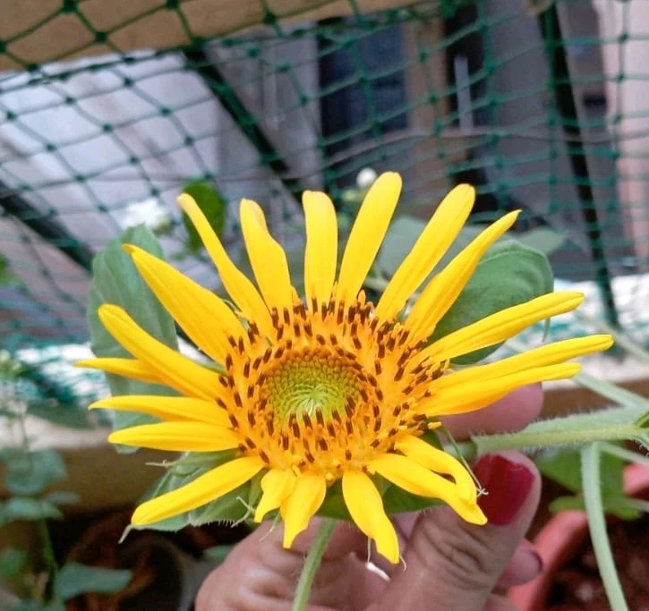 GIF uploaded by Pratik